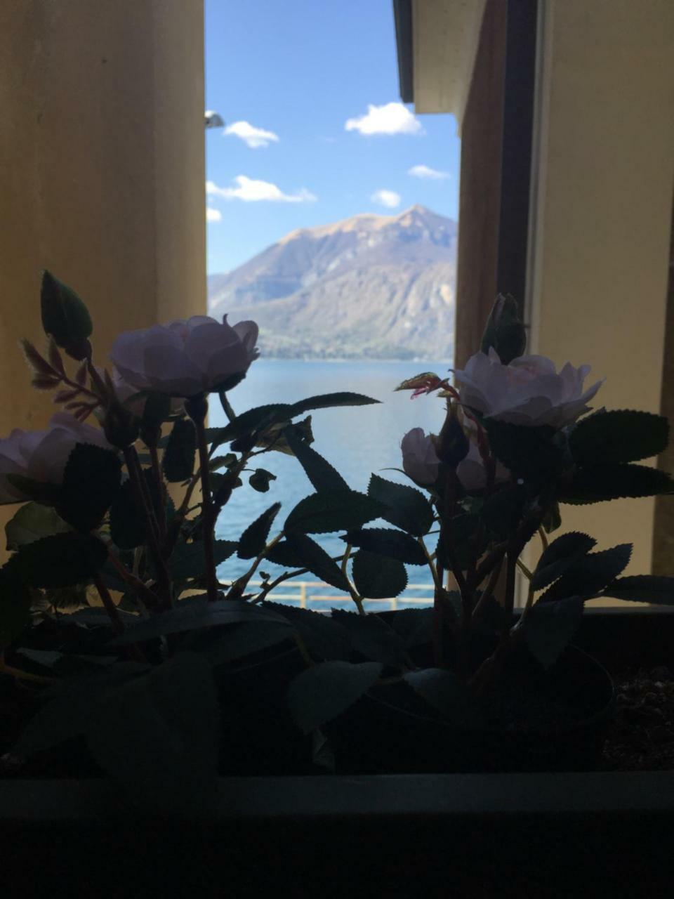 Cozy Garden Retrait Apartment Varenna Ngoại thất bức ảnh